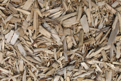 biomass boilers Oak Tree